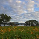 새한목장 이미지