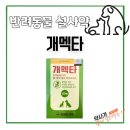 부산서면동물약국 네이버블로그