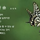 꽃;숨 이미지