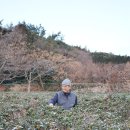 청해진의 꿈 네이버블로그