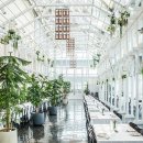 세상의모든아침 이미지