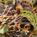 세븐일레븐 춘천후평본점 | 지축맛집 춘천후평닭갈비 지축점 솔직후기 — 크리미 소스가 킥💚