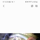 청정장어 Daum카페