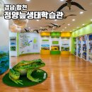 정양늪생태학습관 | 합천 정양늪 생태학습관 부산 근교 아이와 가볼만한 곳 국내 여행지