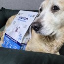 (주)인디고 | 노령견에게 잘 맞는 강아지알러지사료🐶 인디고 하이포알러제닉 사료!