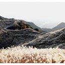 구계한우 이미지