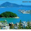 완도 주도 상록수림 이미지