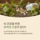 세린약국 | 포스타티딜세린 뇌와 궁합 좋은 부원료 TOP3