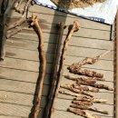 행운열쇠 이미지