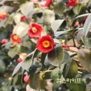 동백IC주유소 이미지