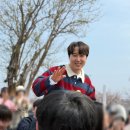 경주 | 버스카버스카 DAY3 벚꽃투어 in 경주 후기(+꿀팁)