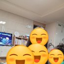 동원부페 | 외롭다는 초4 조카를 위한 서울 여행시작 광화문 두메라부페 후기