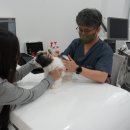 송이로14길 | 구리애견분양 미유펫 방문 솔직 후기