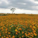 서광리-24 이미지