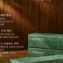 라온솔 네이버블로그