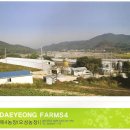 대영농원 이미지