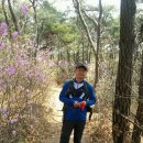 석굴암 천룡도 | 17. 경주 남산(南山) 468m 경북 경주시 탑동, 배동