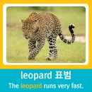 늑대영어학원