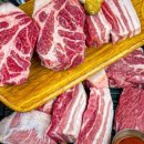 달빛돈가 이미지