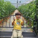 지수농장 이미지