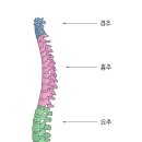 온라인클래스 | [위드벨라] 어깨 라인 온라인 클래스_내돈 내산 후기