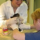 로잔동물의료센터 이미지