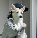 한국심리상담과학연구소 이미지