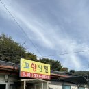 포천 애견동반 식당 고향산천 바베큐장 능이백숙 토종닭 솔직후기