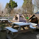 초록목장 이미지