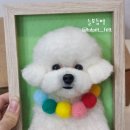 보듬펫 이미지