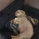 (주)한결메디칼 이미지