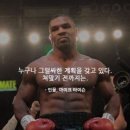 다몬 이미지