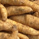 뇌졸중의 예방과 치료 이미지