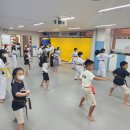 한국 드림 태권도 이미지