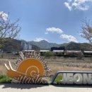 대성대여소 이미지