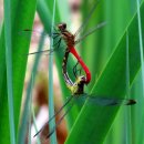 풍산마을 이미지