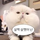 보영목장 이미지