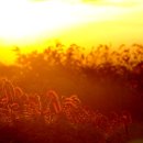 지리산아침 이미지