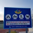 대소생활체육공원 이미지