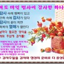 추수 감사절 시기, 유래, 풍습, 주요 행사 프로그램 이미지