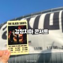 태광산업 | 장충체육관 검정치마 콘서트 후기 셋리스트 본인확인 주차정보까지