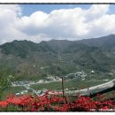 동천1통 이미지