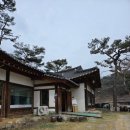 조가네갑오징어원주점 | [원주] 외식하기 좋은 조가네 갑오징어 원주점 방문 솔직후기