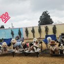 큰별유치원 이미지