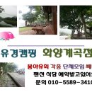 시원한 계곡옆 유경캠핑 청주점이 대형팬션 식당예약받습니다. 각종모임 행사 미리 예약하세요. 이미지