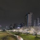 소리천로(2) 이미지