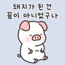 물총칼국수 - 이천시 경충대로 2279 | 물총칼국수
