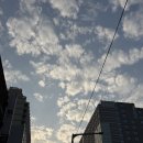 생활중국어(입문반) | 제28회서귀포유채꽃국제걷기대회 이틀째 20km