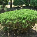 우림농원 이미지