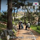 로이153전통단팥죽 | 울산 대왕암 공원 주차장 울산여행 코스 추천